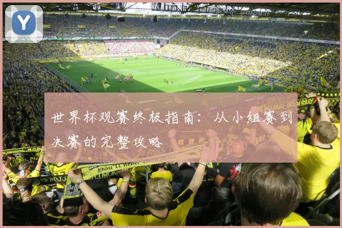 世界杯观赛终极指南：从小组赛到决赛的完整攻略