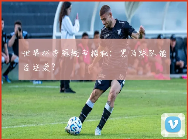 世界杯夺冠概率揭秘：黑马球队能否逆袭？