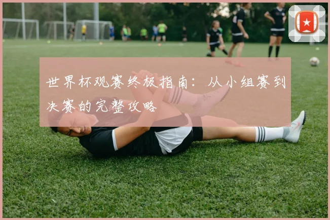 世界杯观赛终极指南：从小组赛到决赛的完整攻略